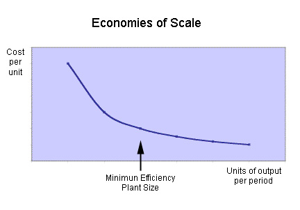 economic scale